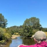 Looking out over the river from the green footbridge on a clear day